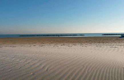 Stella di mare - Foto 25