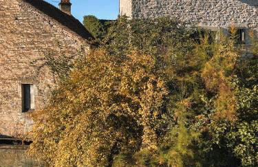 Au Bord de la Lauve - Foto 13