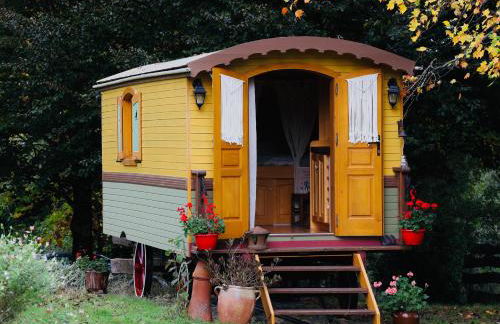 Roulotte La Chouette des Granges - Foto 9