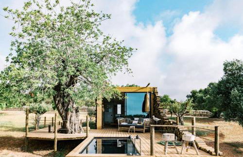 Conversas de Alpendre - Foto 62