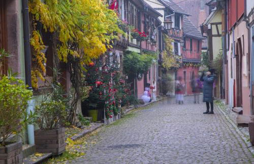 Origin'Alsace - Foto 20