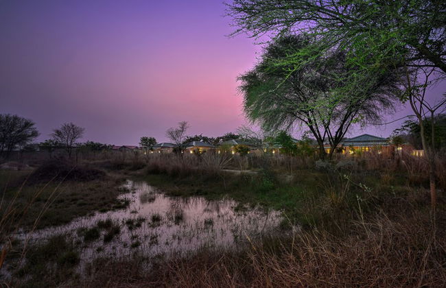 Bagh Serai - Foto 38