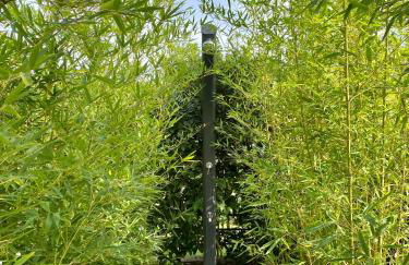 Residence Dalco Suites & Apartments - Foto 8