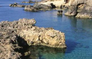 Il Campo Blu - Foto 53