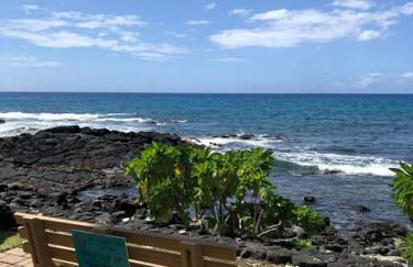 Amazing condo peaks of ocean view On Ali'i Dr by surf spots - Foto 31