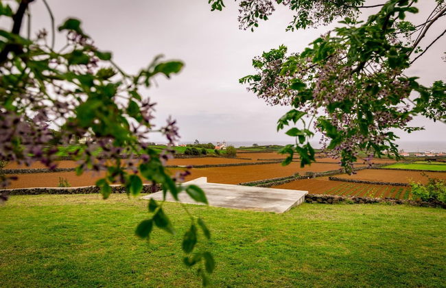 Casa dos Cal os in S o Mateus da Calheta - Photo 21