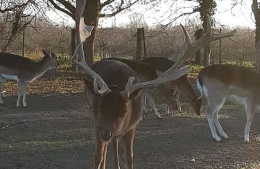 Mühlenberger Ponyhof - Foto 44