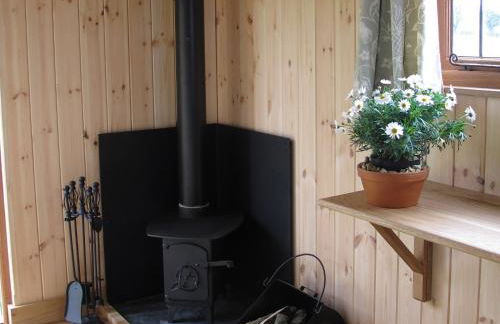 Marshwood Farm B&B and Shepherds Hut - Foto 22