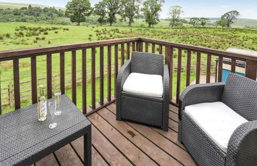 Stargazers - Uk3445 - Foto 2