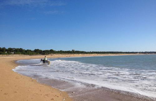 Appartement 43 m2 front de mer 3 clés vacances - Photo 19