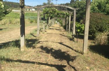 Quinta do Sanguinhal - Foto 49