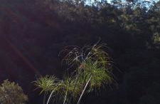 Chale brilho do sol - Foto 27