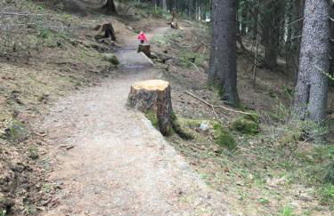 Casa del Roccolo - Photo 34