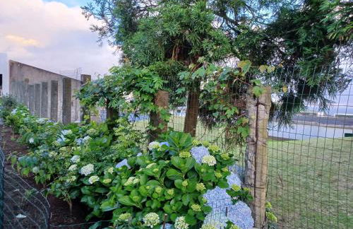 Casa da Linda - Photo 9