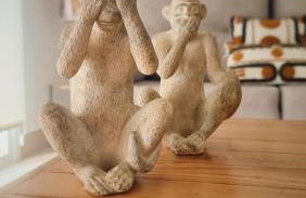 Boutique Top Casitas - Foto 5