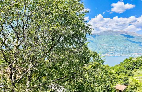 Apartment Nel Castagneto-2 by Interhome - Photo 12