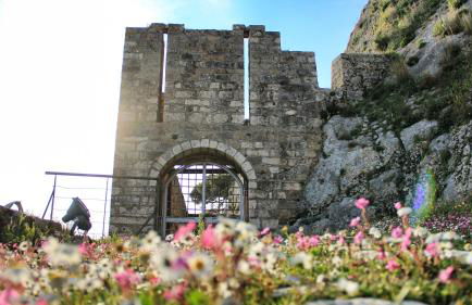 stunning tranquil villa with private pool - Foto 50