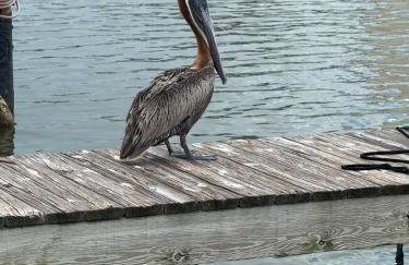Harbor Place Boathouse BRAND NEW - Foto 2