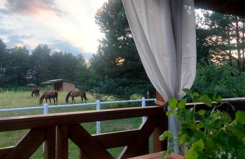 Domek w Sosnach - Foto 19