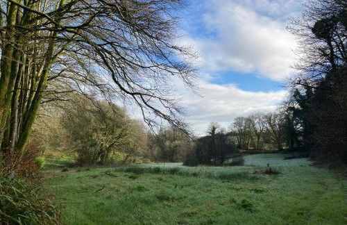 Hollyhocks Holiday Home- 2 bedroomed ground floor apartment sleeps 5 - Foto 37