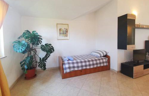 Apartman Luna - Foto 14