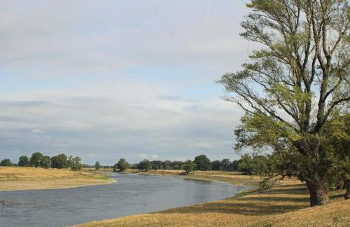 Ruhiges, sehr schönes Haus/Grundstück in Elbnähe. - Foto 15