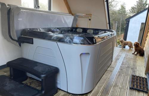 Upper Gelli Luxury Holiday Lodge, Converted Dairy & Cosy Shepherds Huts - Photo 10