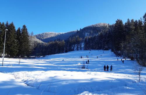Apartament Zielony Zakątek - Foto 53
