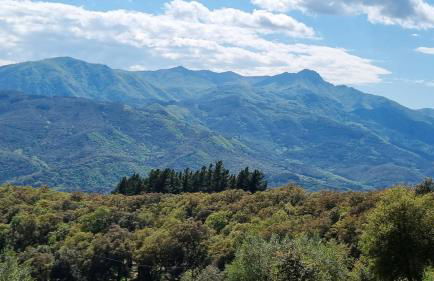 Ca la Pauleta - Foto 54