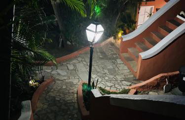 Luah Buziana - Foto 21