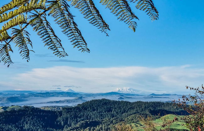 Te Tiro Accommodation - Foto 43