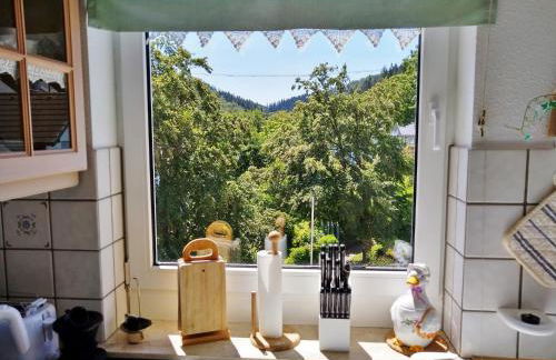 Komfort-Fewo SKYWALK-BLICK mit MeineCardPlus - Foto 16