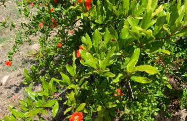 Villa Paradiso - Photo 16