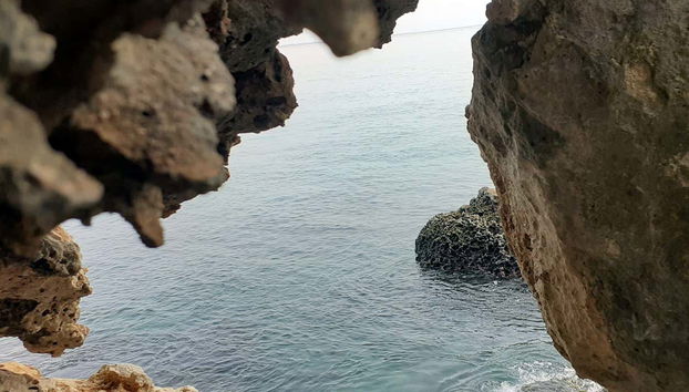 Paysages pendant l'activité