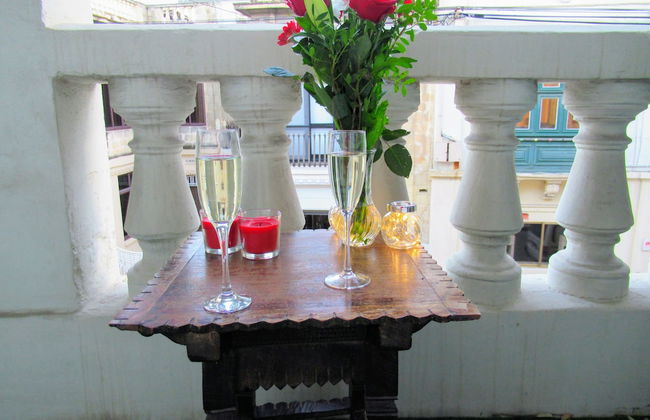 Maltese Maltese - Foto 36