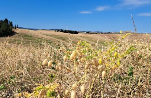 La casina dei Praticelli - Foto 31