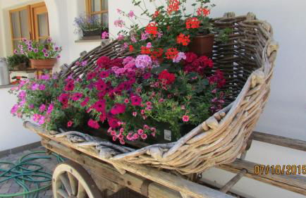 Kellnerhof - Foto 58