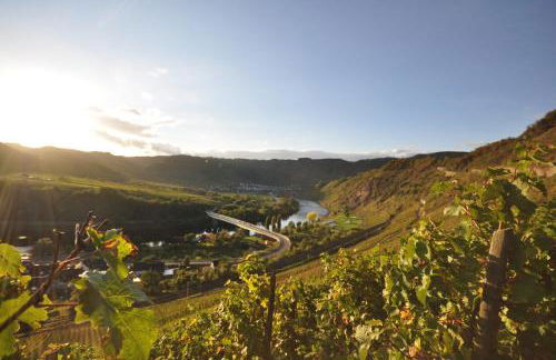 Apartments / Ferienwohnungen Moseluferstrasse - Photo 13