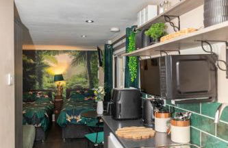 Jungle Lodge - Foto 14