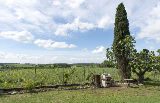 Tenuta EnGi - Foto 42