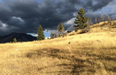 Pine Creek Cabin Livingston Montana - Foto 68