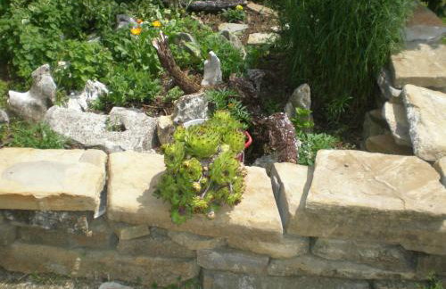 Holiday house with a swimming pool Cepic, Central Istria - Sredisnja Istra - 7403 - Foto 15