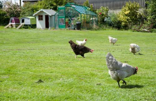 Padley Farm - Foto 52