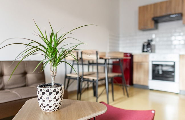 Pension Zelený grunt - Photo 19