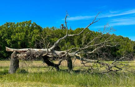 Ferienhaus Boddenblick Klausdorf Am Nationalpark - Foto 24