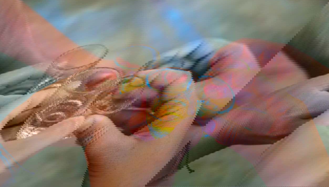 Un brindis con pisco