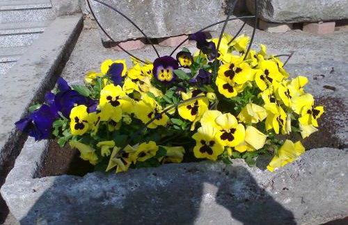 Ika Blue Studio - Photo 44