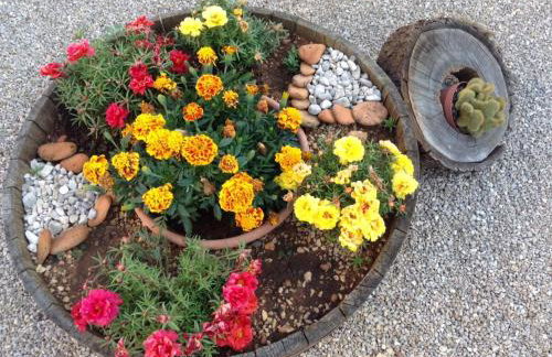 Apartmani Dujmović - Foto 8