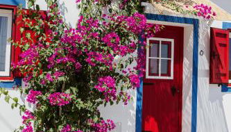 Casa Vó Briata - Foto 1