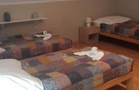 Agro-szyszynka - Foto 13